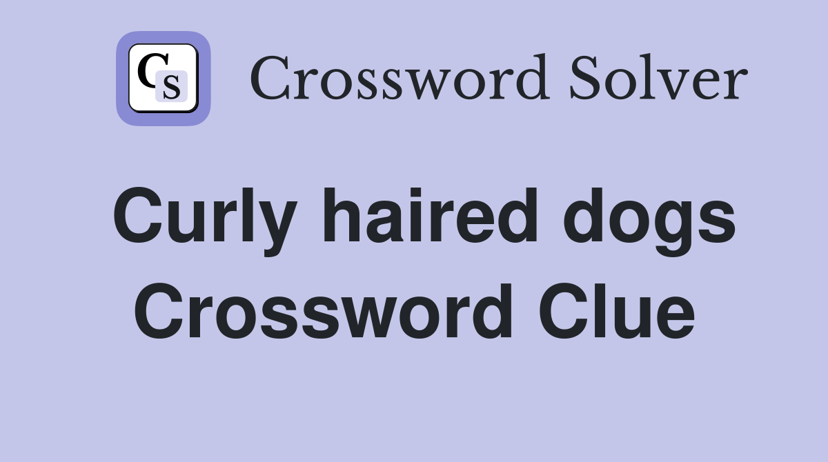 Curly haired dogs Crossword Clue Answers Crossword Solver